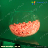 Открытие бизнеса в г.Беруни  - Изображение #3, Объявление #687865